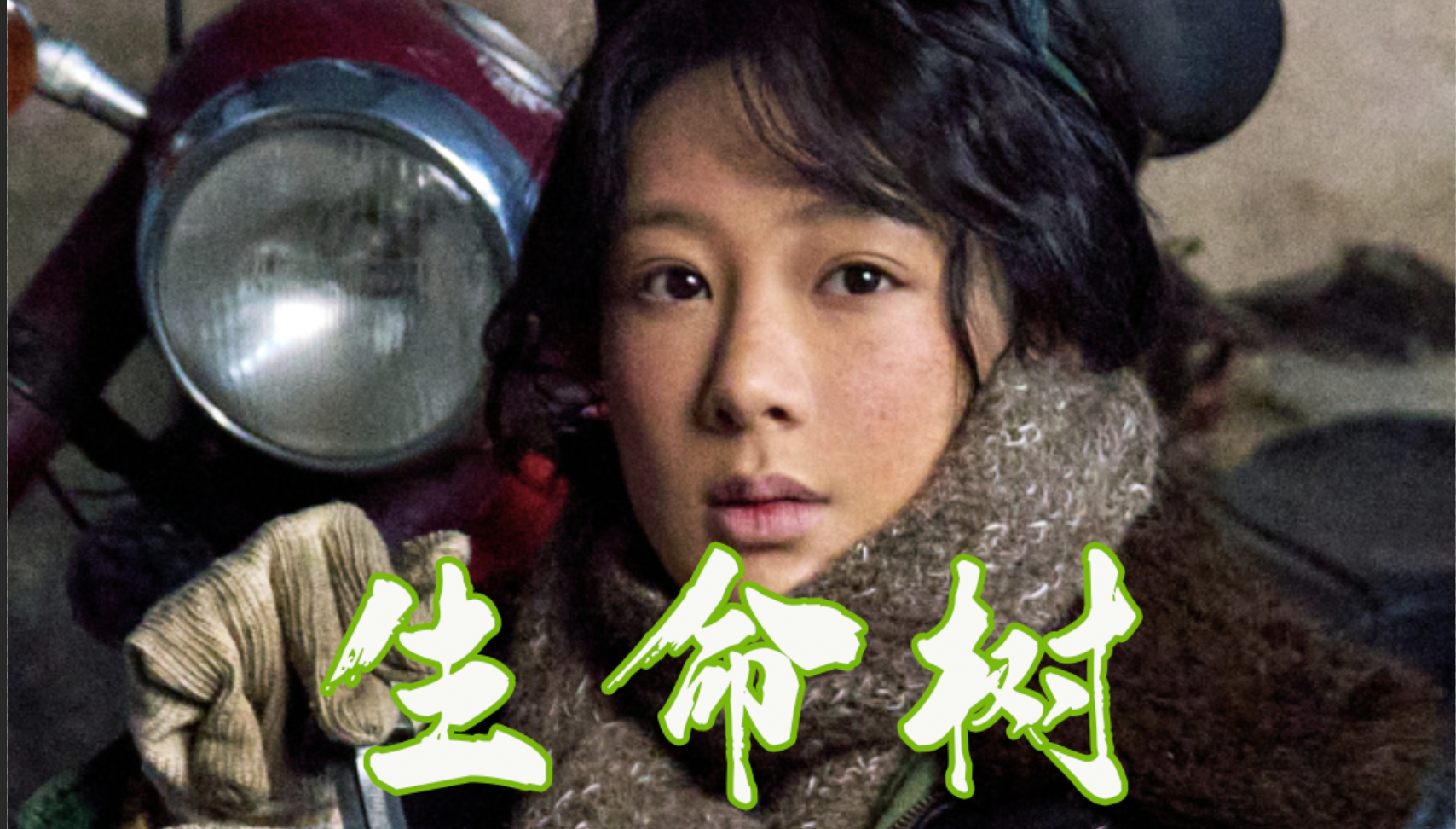 《生命树》 杨紫胡歌共谱生命赞歌